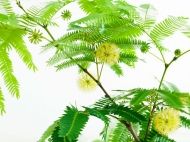 時(shí)尚浴室柜